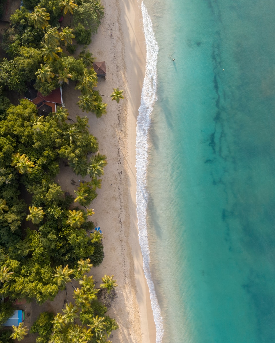 guide touristique martinique : île des fleurs aux mille atouts